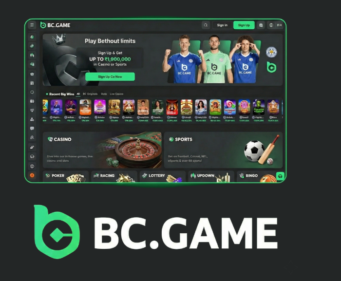 Exploring BC.Game The Future of Online Gaming in Spain -245672869
